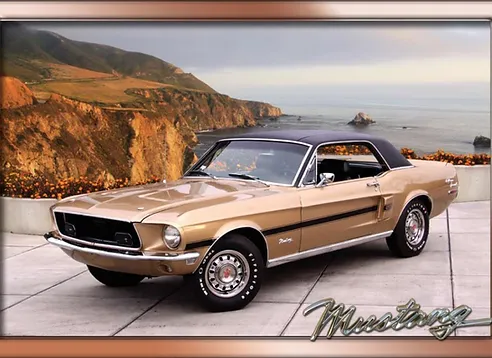JOSEPH VARGAS | VISTA, CA | 1968 MUSTANG GT/CS